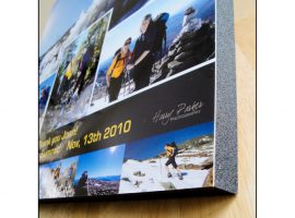 Gator საბჭო