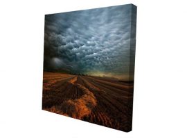 წინასწარ გადაჭიმული ტილო