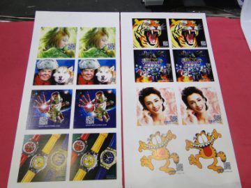 UV ნიმუშის ჩვენება